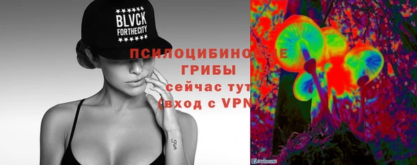 дмт Сосновый Бор