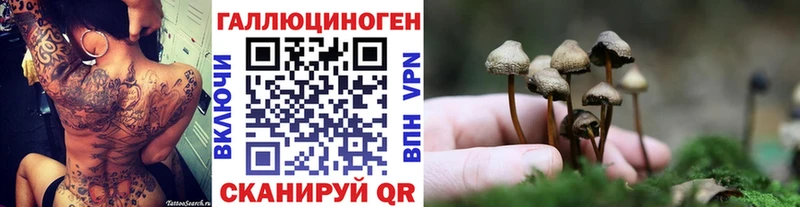 хочу наркоту kraken ONION Псилоцибиновые грибы мухоморы Энем